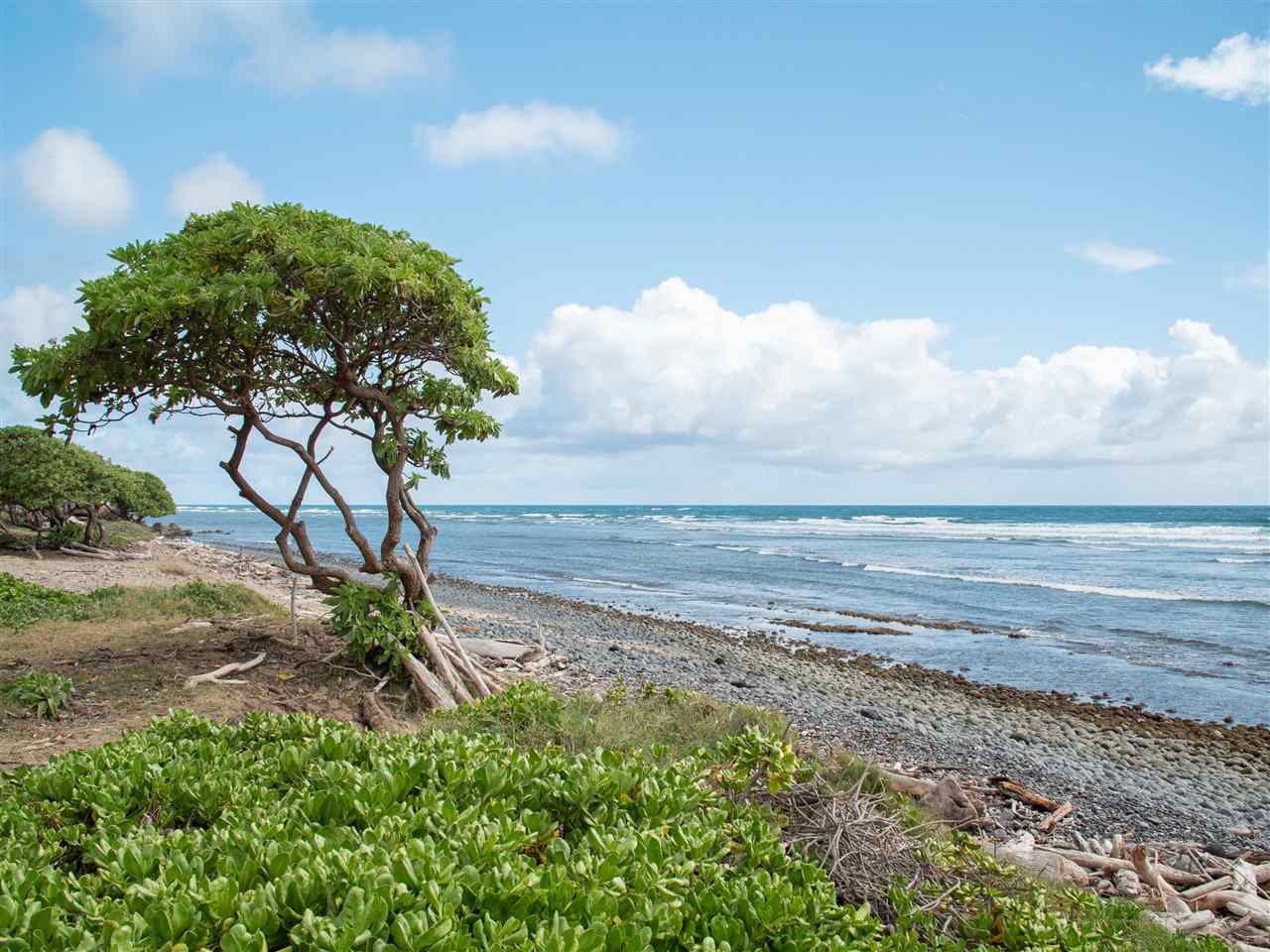 1356  Hiahia St Ocean View Estates, Wailuku home - photo 29 of 30