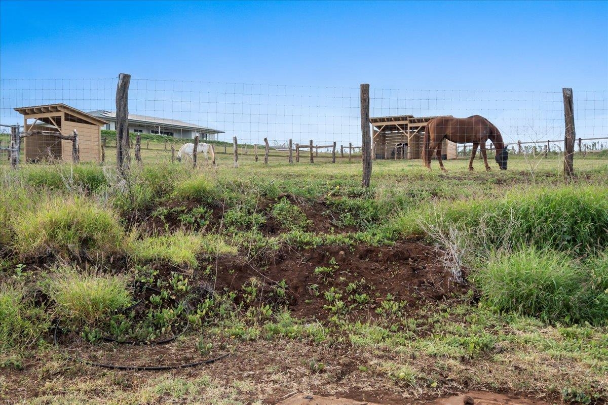 136 Ikena Kai Pl Kula  - photo 22 of 34