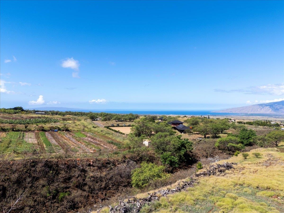 136 Ikena Kai Pl Kula  - photo 10 of 34