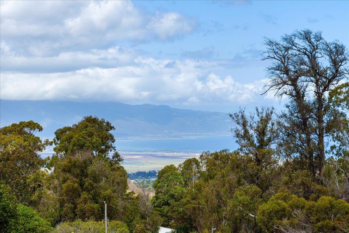 1365  Piiholo Rd , Makawao/Olinda/Haliimaile home - photo 14 of 39
