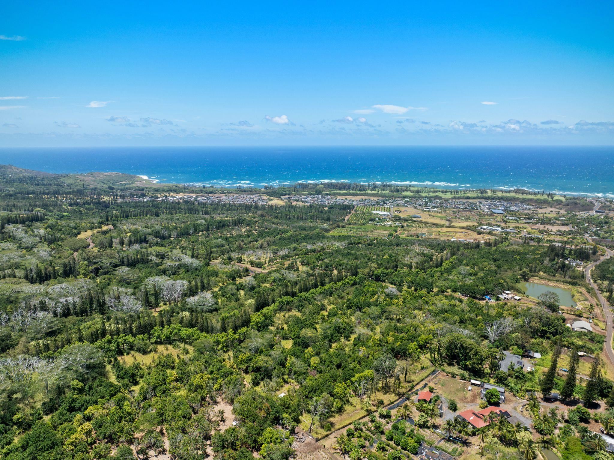 1368 Malaihi Pl   - photo 2 of 14