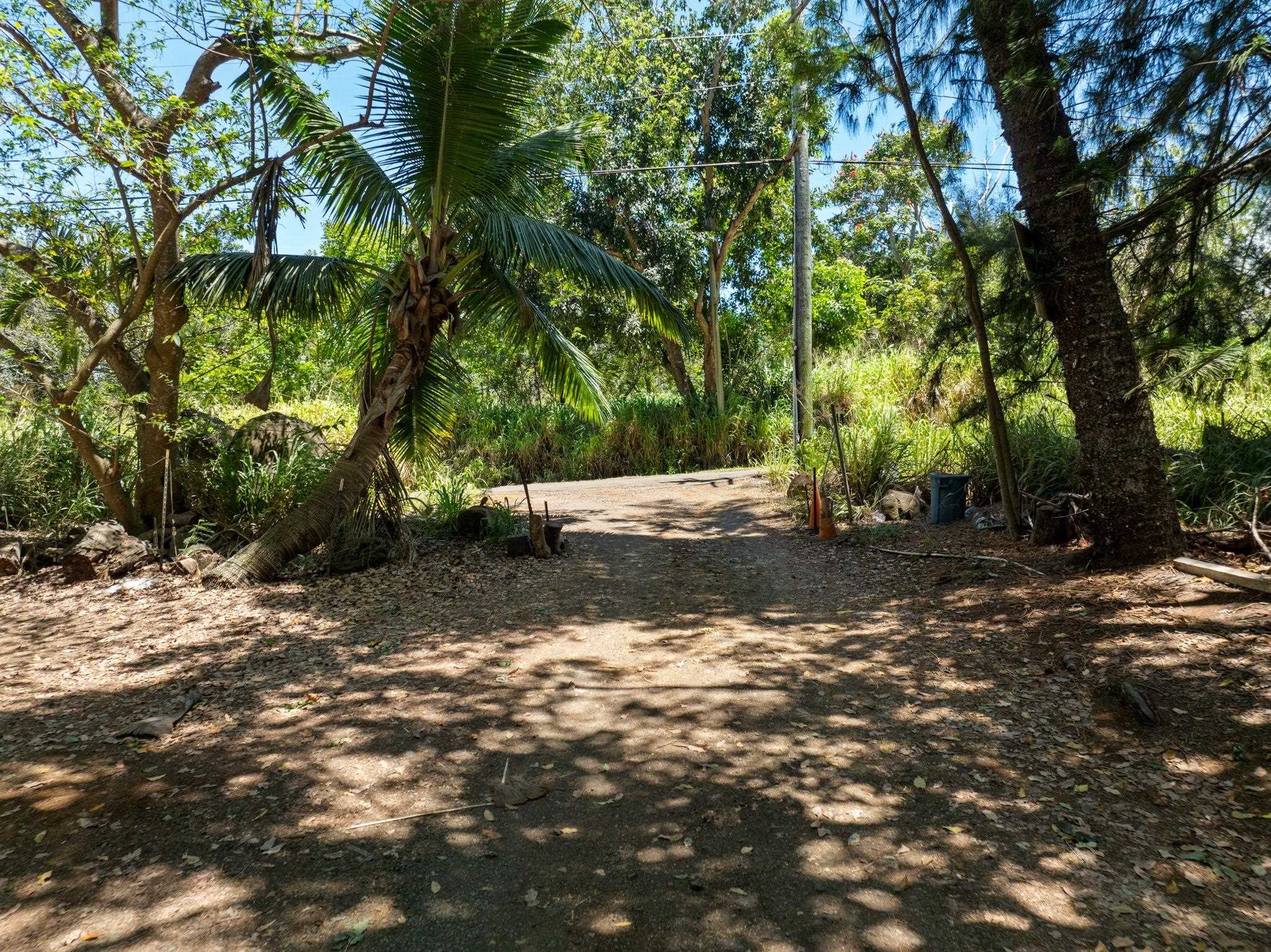 1368 Malaihi Pl   - photo 11 of 14