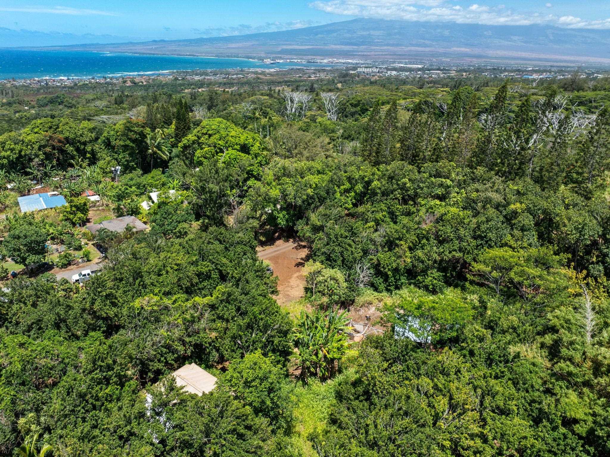 1368 Malaihi Pl   - photo 3 of 14