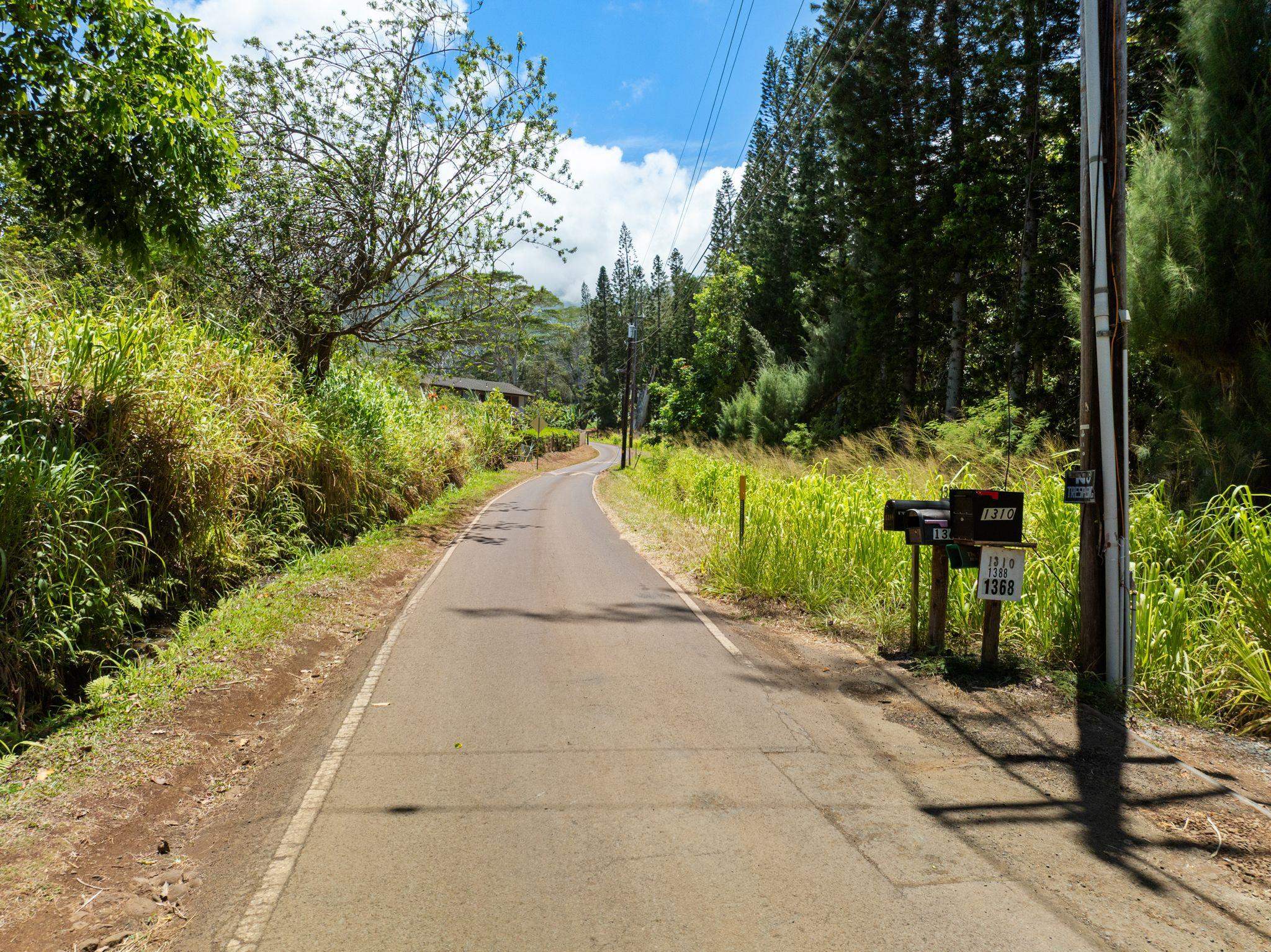 1368 Malaihi Pl   - photo 4 of 14