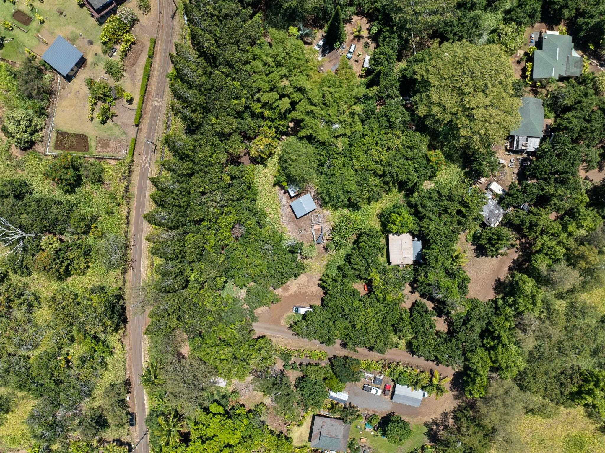 1368 Malaihi Pl   - photo 7 of 14