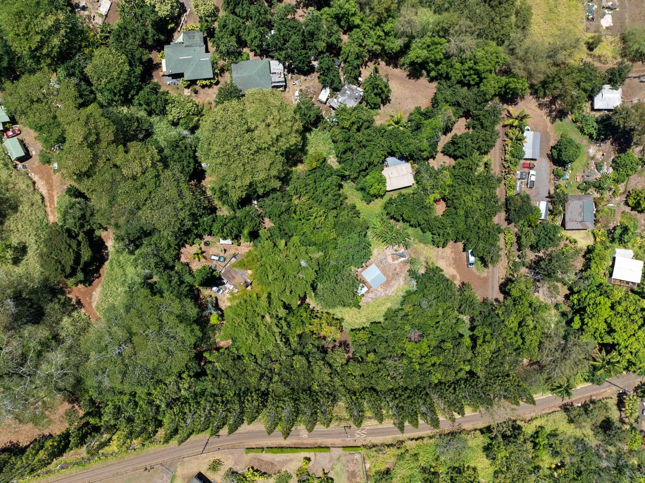 1368 Malaihi Pl   - photo 8 of 14