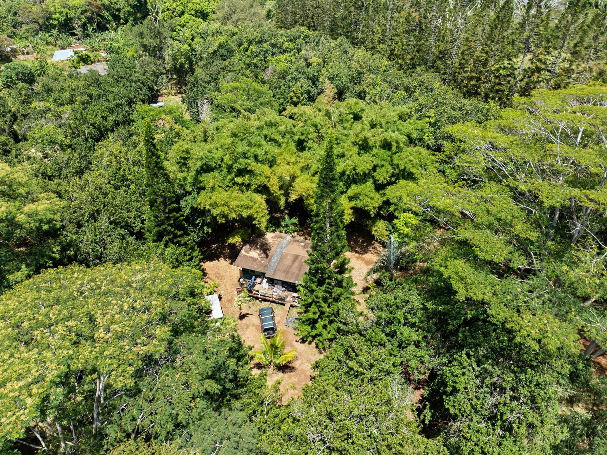 1368 Malaihi Pl   - photo 9 of 14