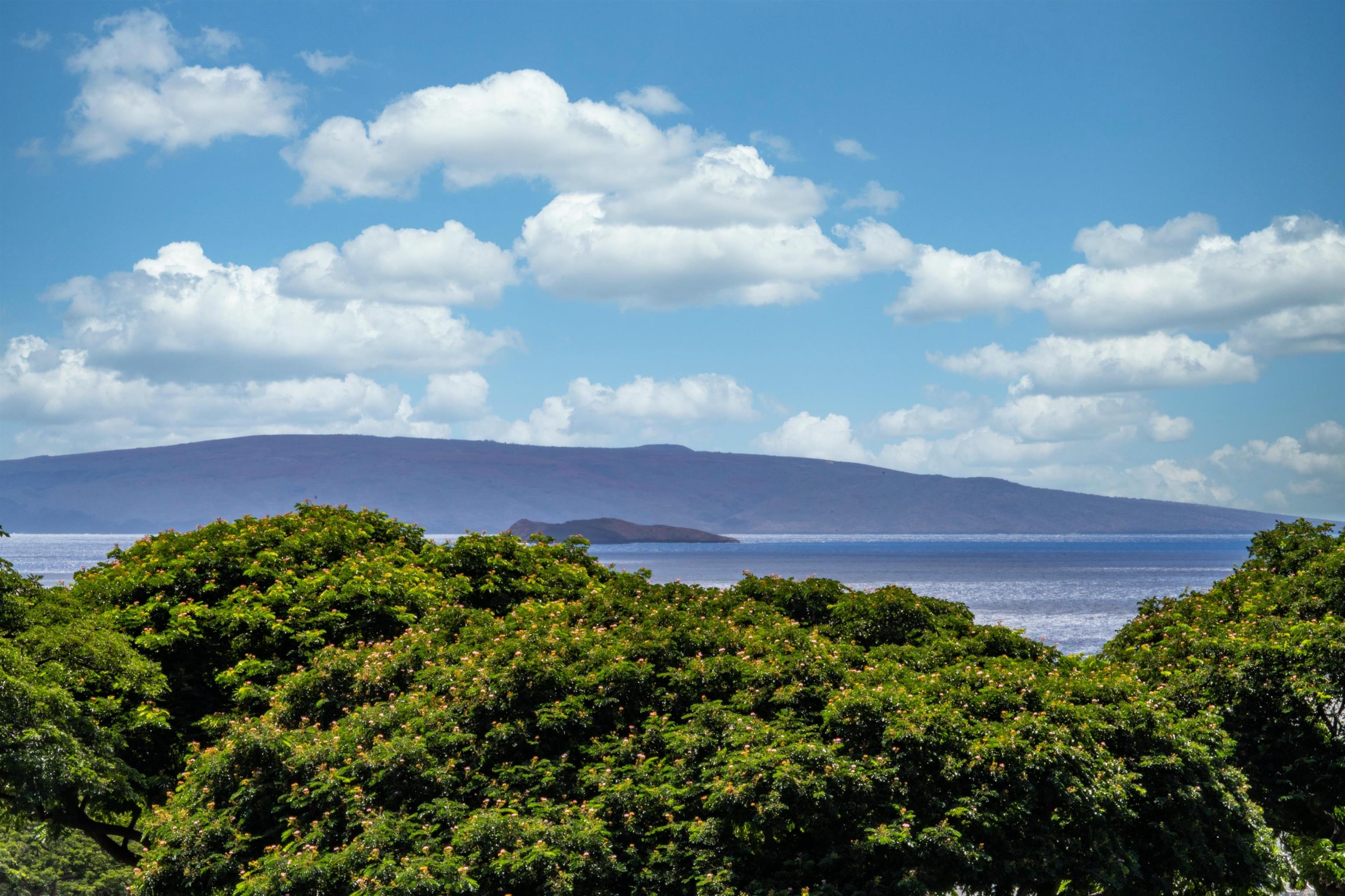 Makalii at Wailea condo # 4A, Kihei, Hawaii - photo 32 of 50