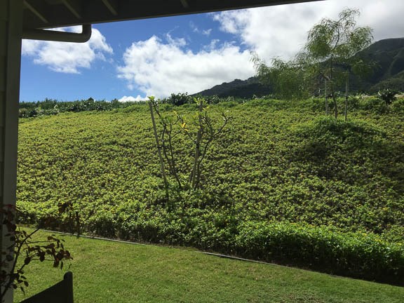 Hoolea Terrace at Kehalani condo # 2503, Wailuku, Hawaii - photo 4 of 29