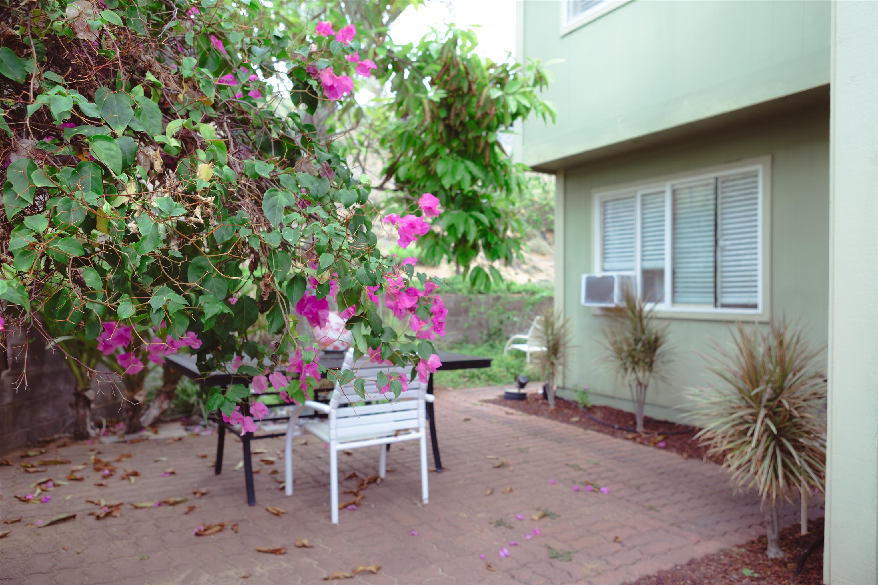 1373  Kilou St , Wailuku home - photo 35 of 50