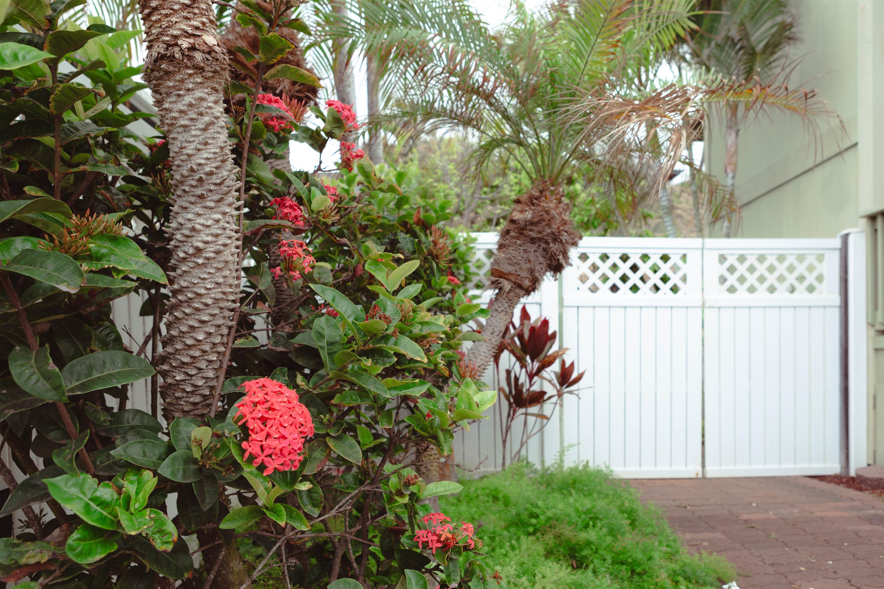 1373  Kilou St , Wailuku home - photo 40 of 50