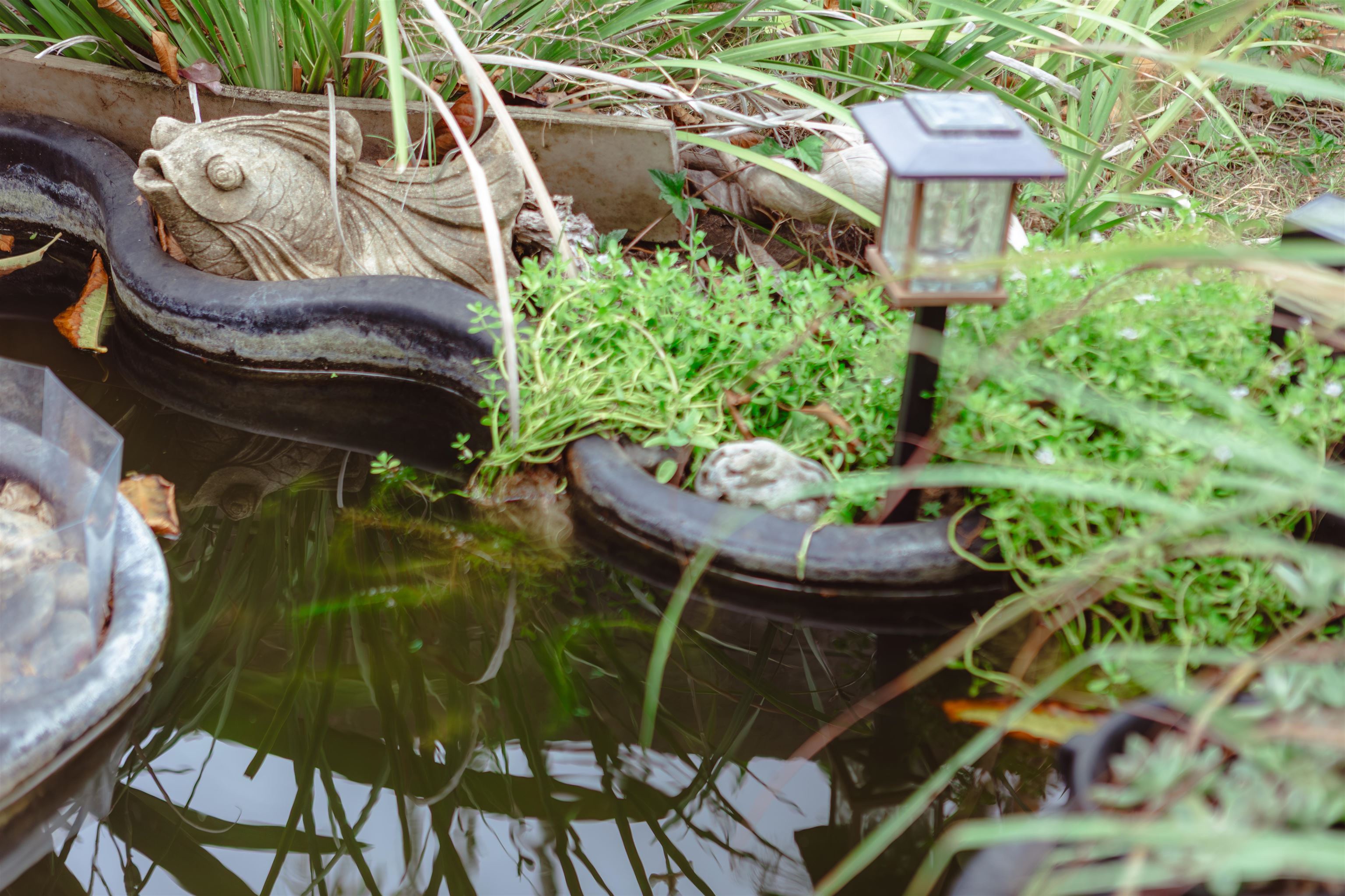 1373  Kilou St , Wailuku home - photo 41 of 50