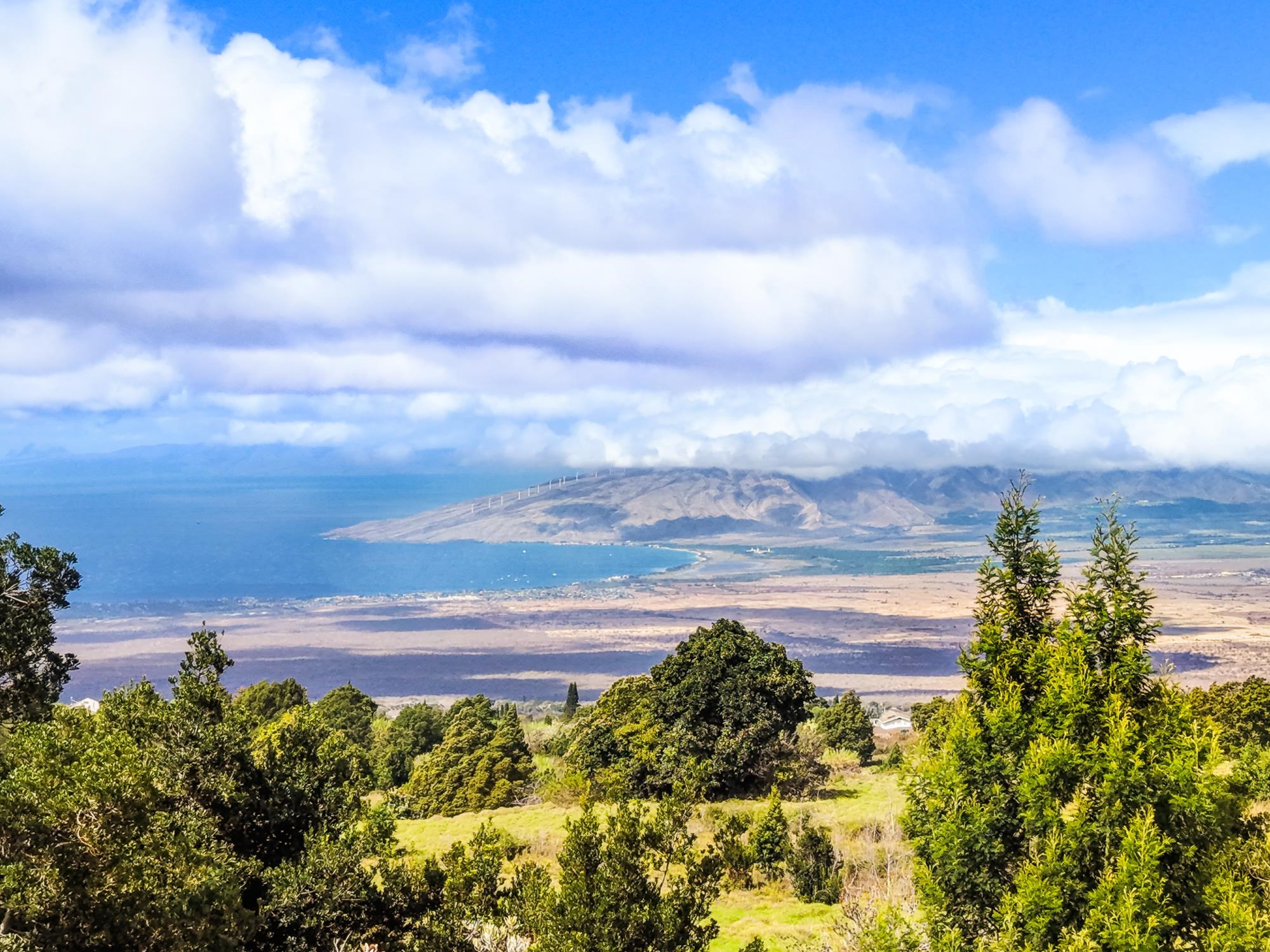 1375  Copp Rd , Kula/Ulupalakua/Kanaio home - photo 33 of 35