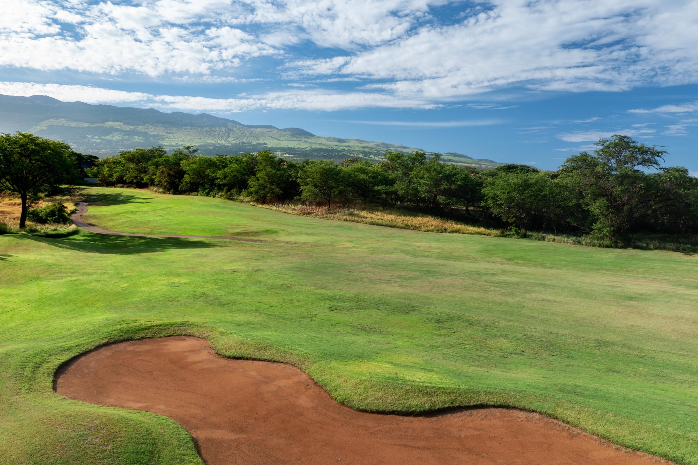 Hokulani Golf Villas condo # 101, Kihei, Hawaii - photo 16 of 50