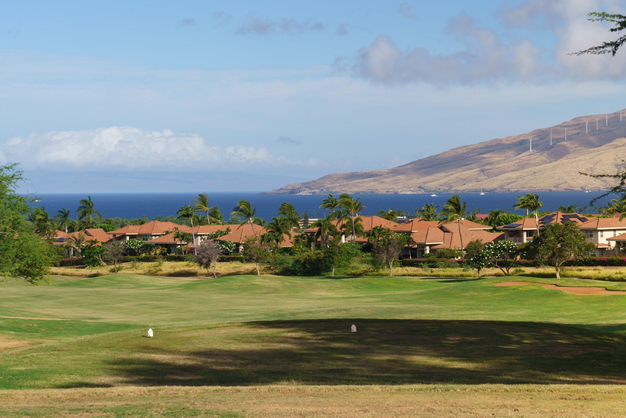 Hokulani Golf Villas condo # 101, Kihei, Hawaii - photo 18 of 50