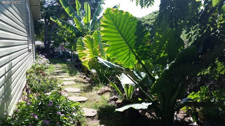 138  E Lipoa St N. Kihei, Kihei home - photo 21 of 30