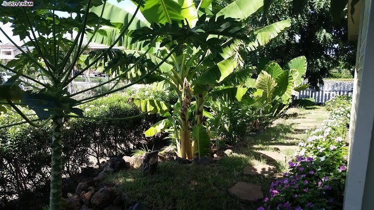 138  E Lipoa St N. Kihei, Kihei home - photo 22 of 30