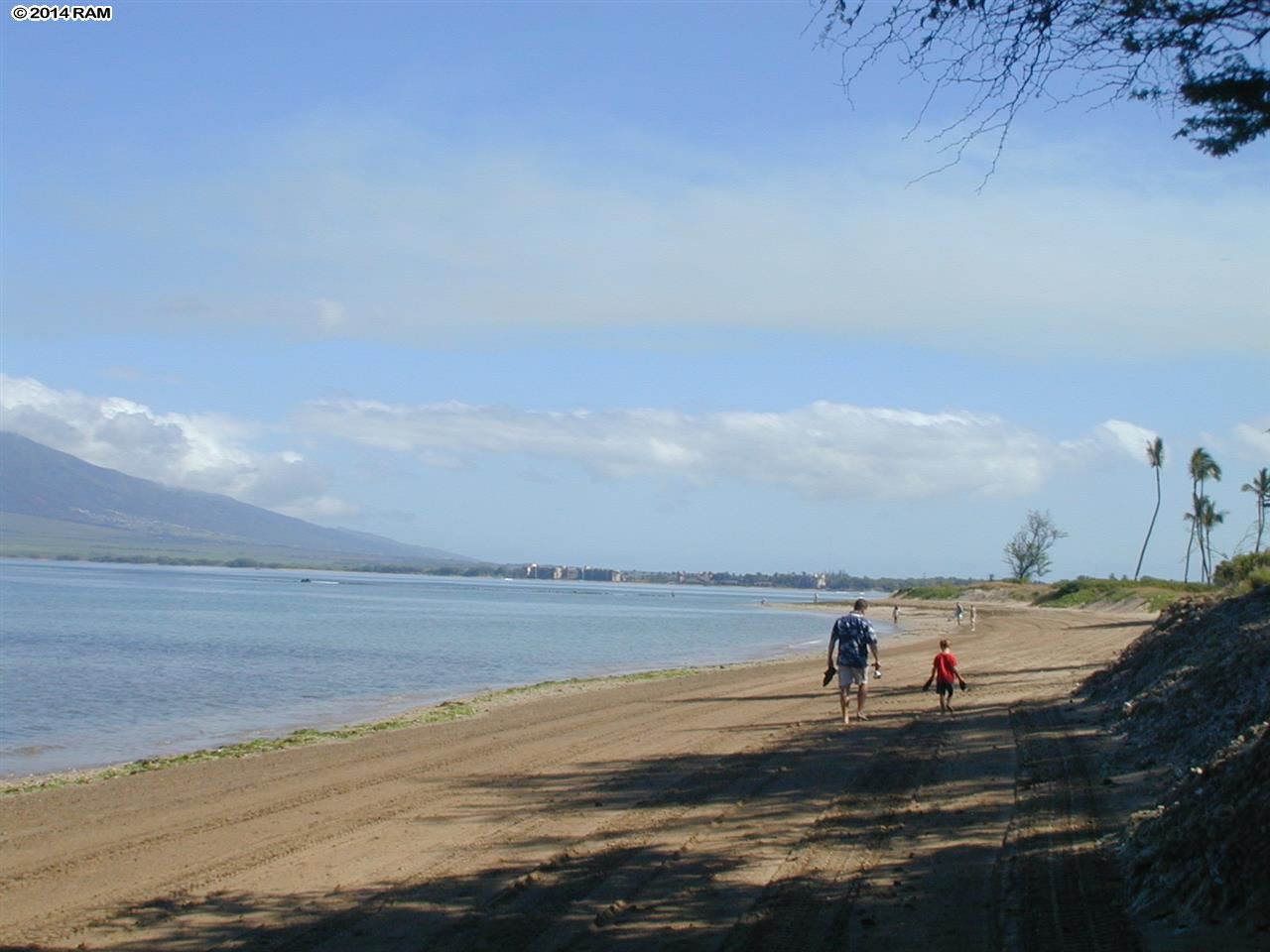 138  E Lipoa St N. Kihei, Kihei home - photo 29 of 30