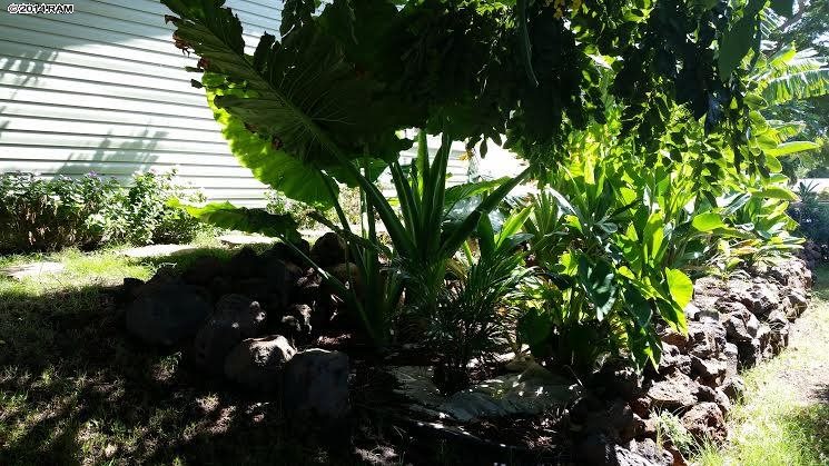 138  E Lipoa St N. Kihei, Kihei home - photo 10 of 30