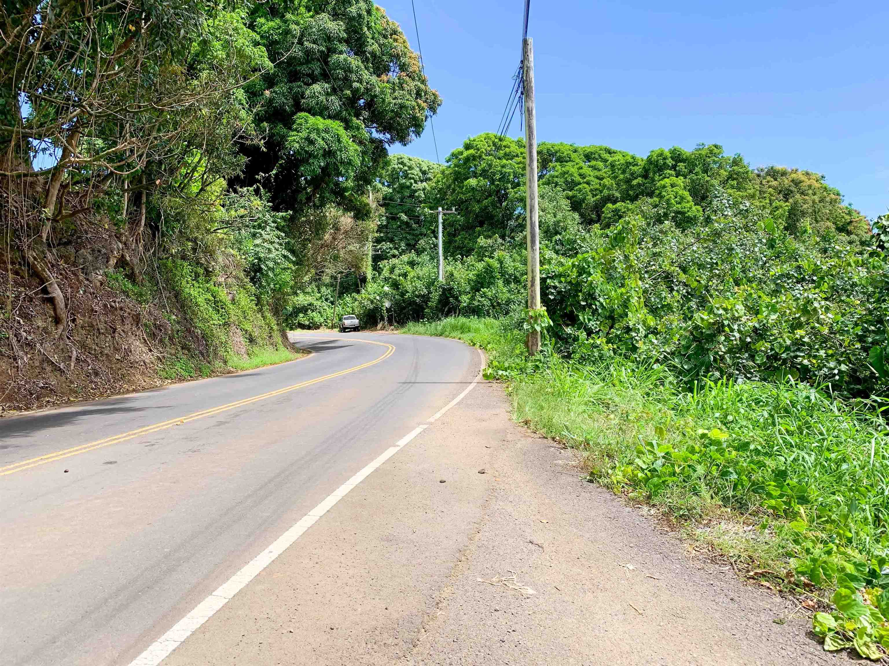 13895  Hana Hwy , Keanae home - photo 19 of 23