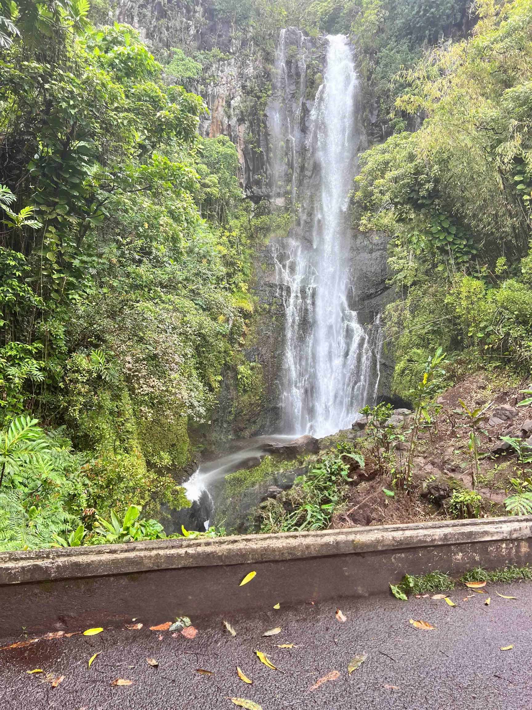 13895  Hana Hwy , Keanae home - photo 20 of 23