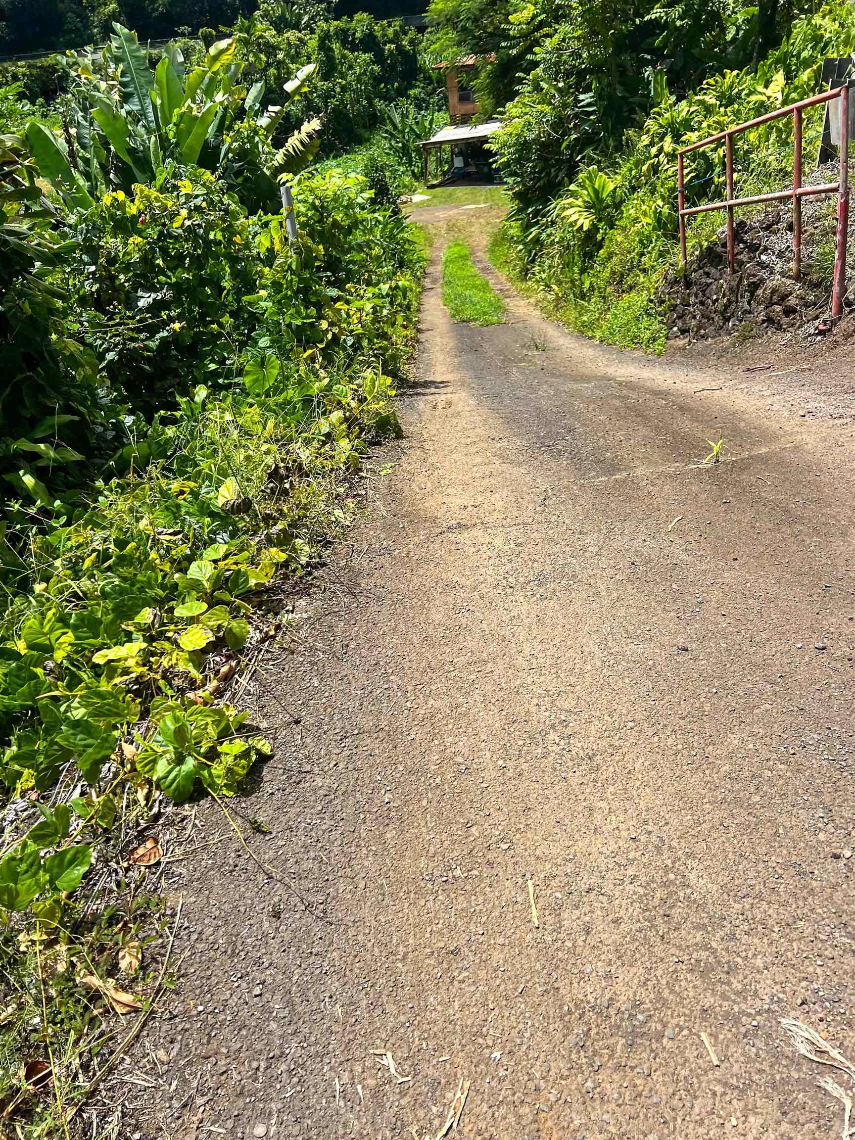 13895  Hana Hwy , Keanae home - photo 23 of 23