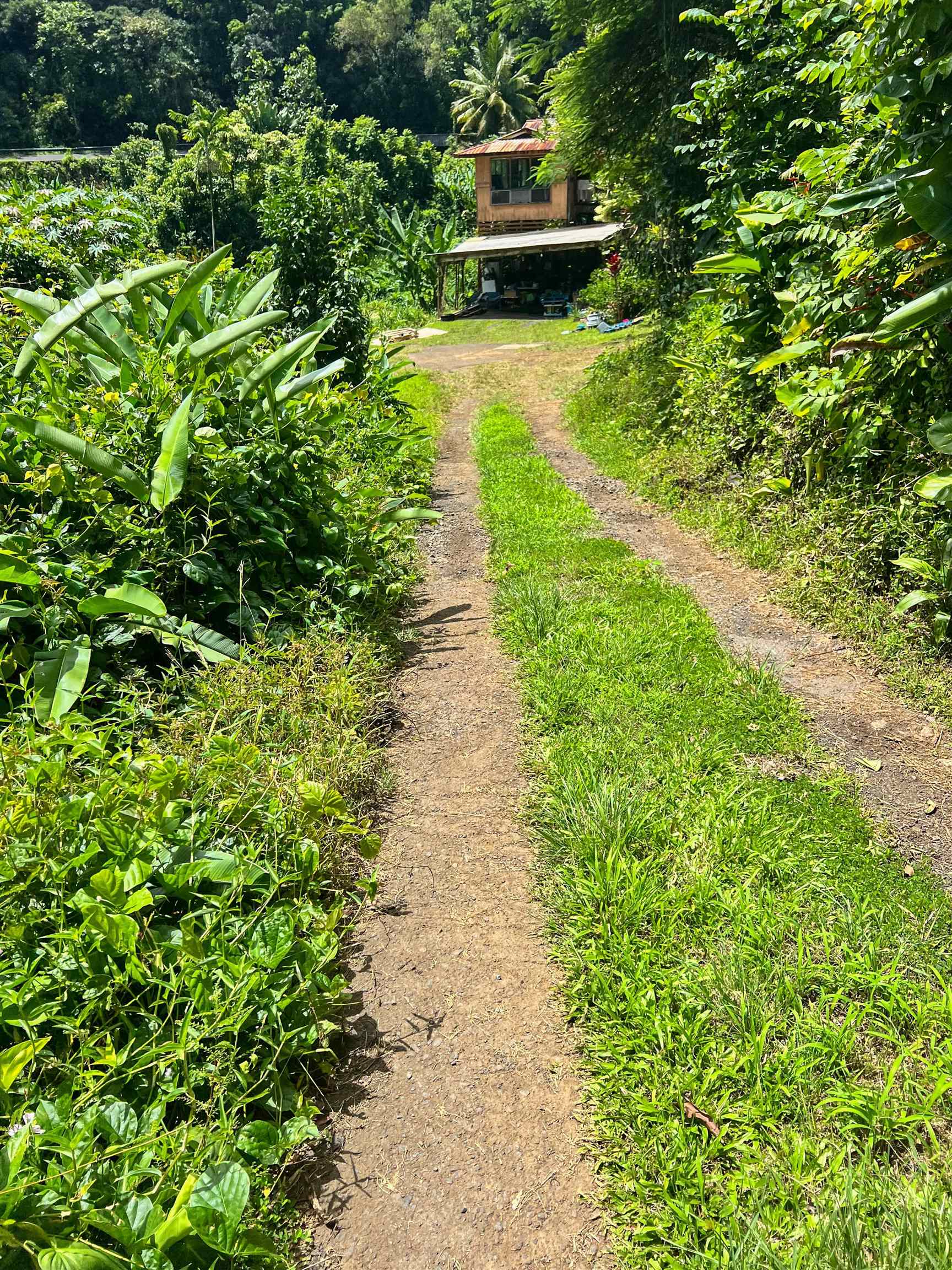 13895  Hana Hwy , Keanae home - photo 4 of 23