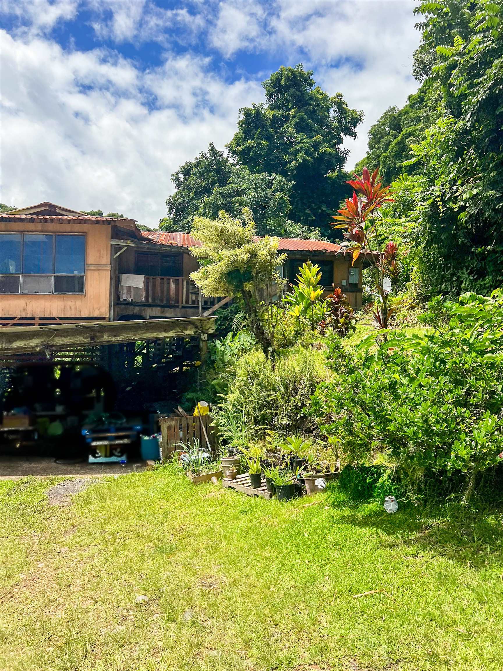 13895  Hana Hwy , Keanae home - photo 5 of 23