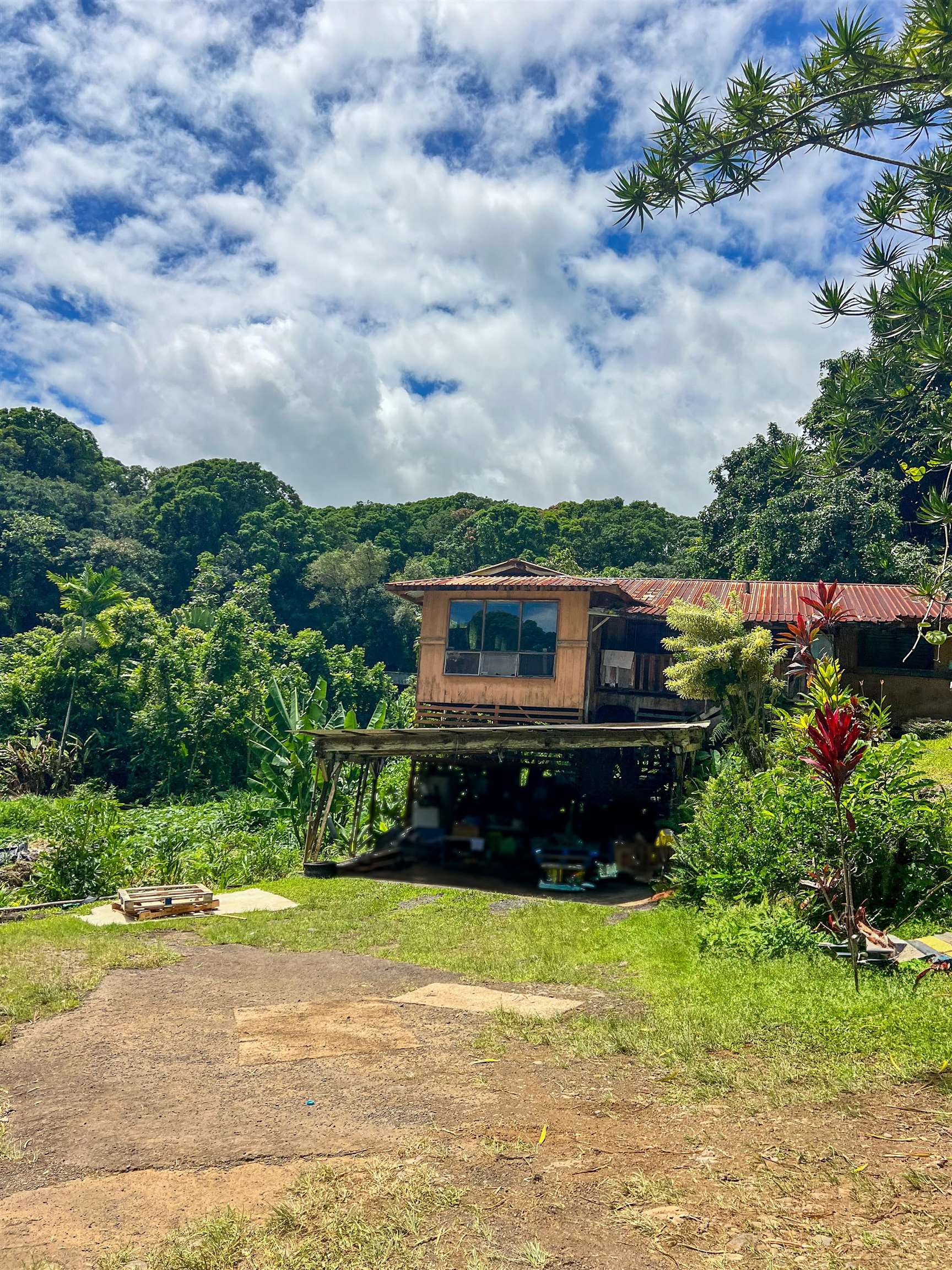 13895  Hana Hwy , Keanae home - photo 7 of 23