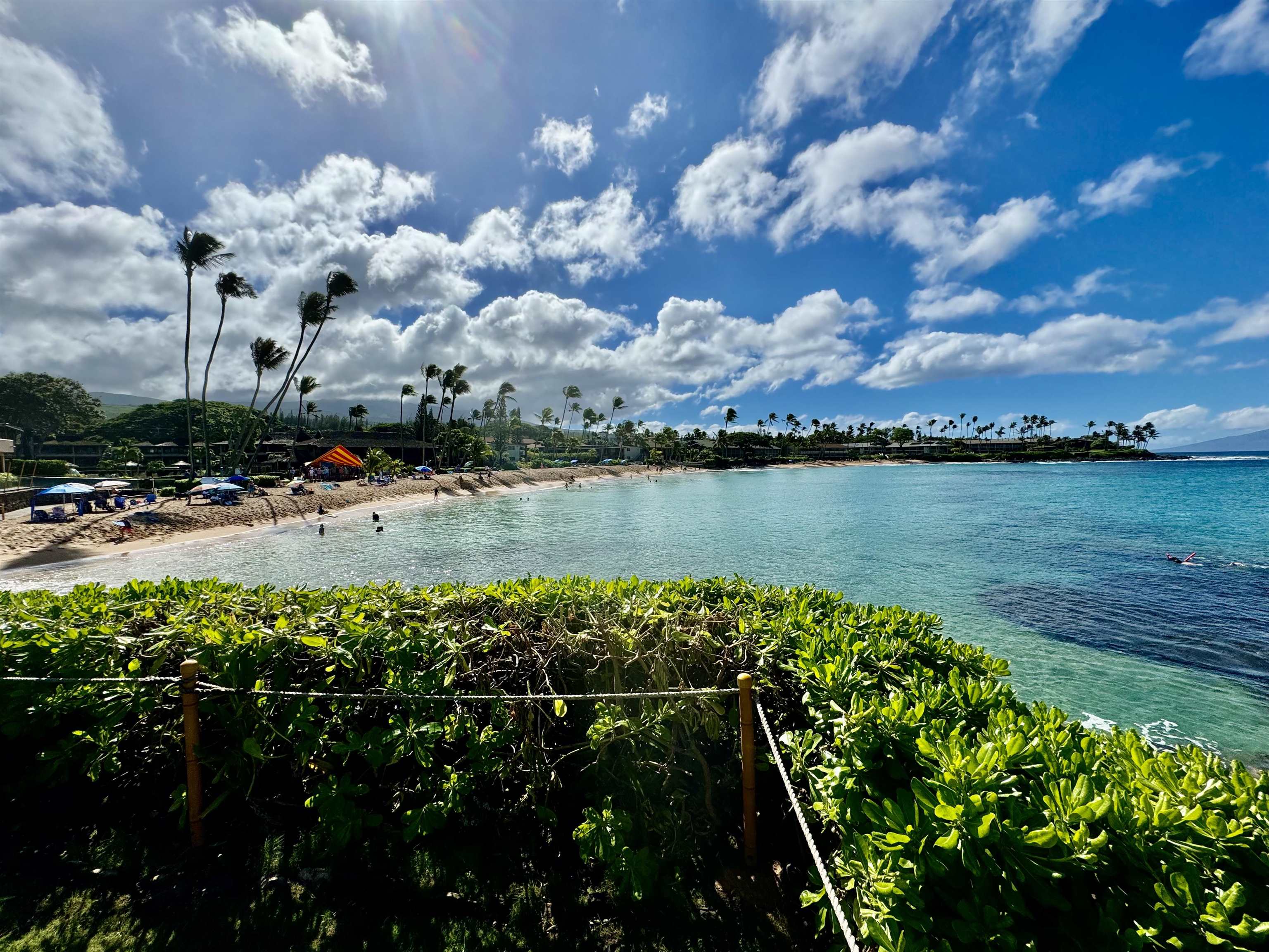 Napili Villas condo # 10-8, Lahaina, Hawaii - photo 40 of 41