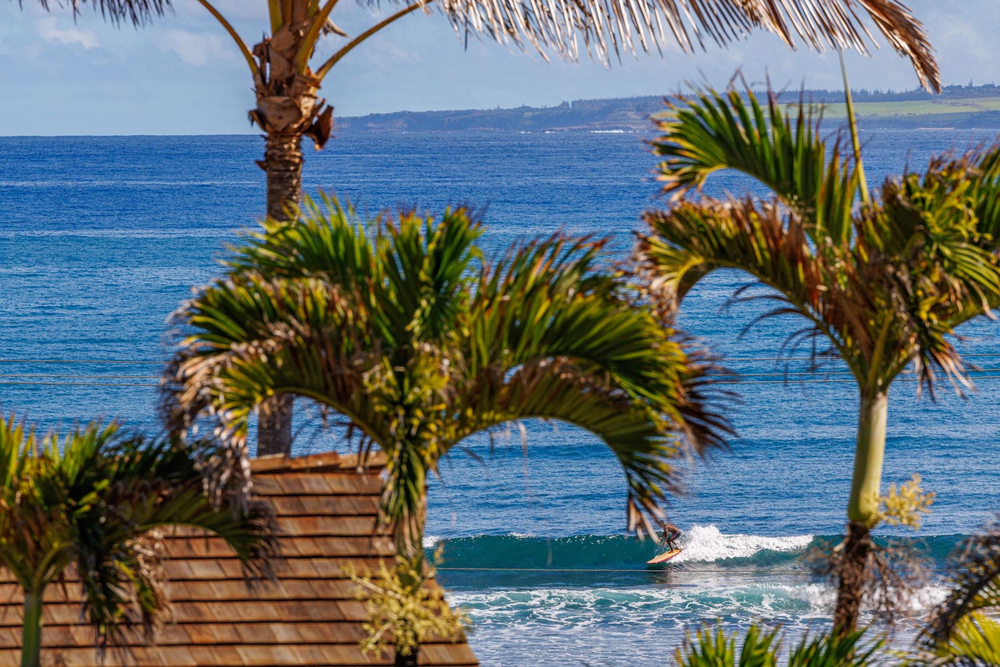 1395  Hiahia St , Wailuku home - photo 2 of 50