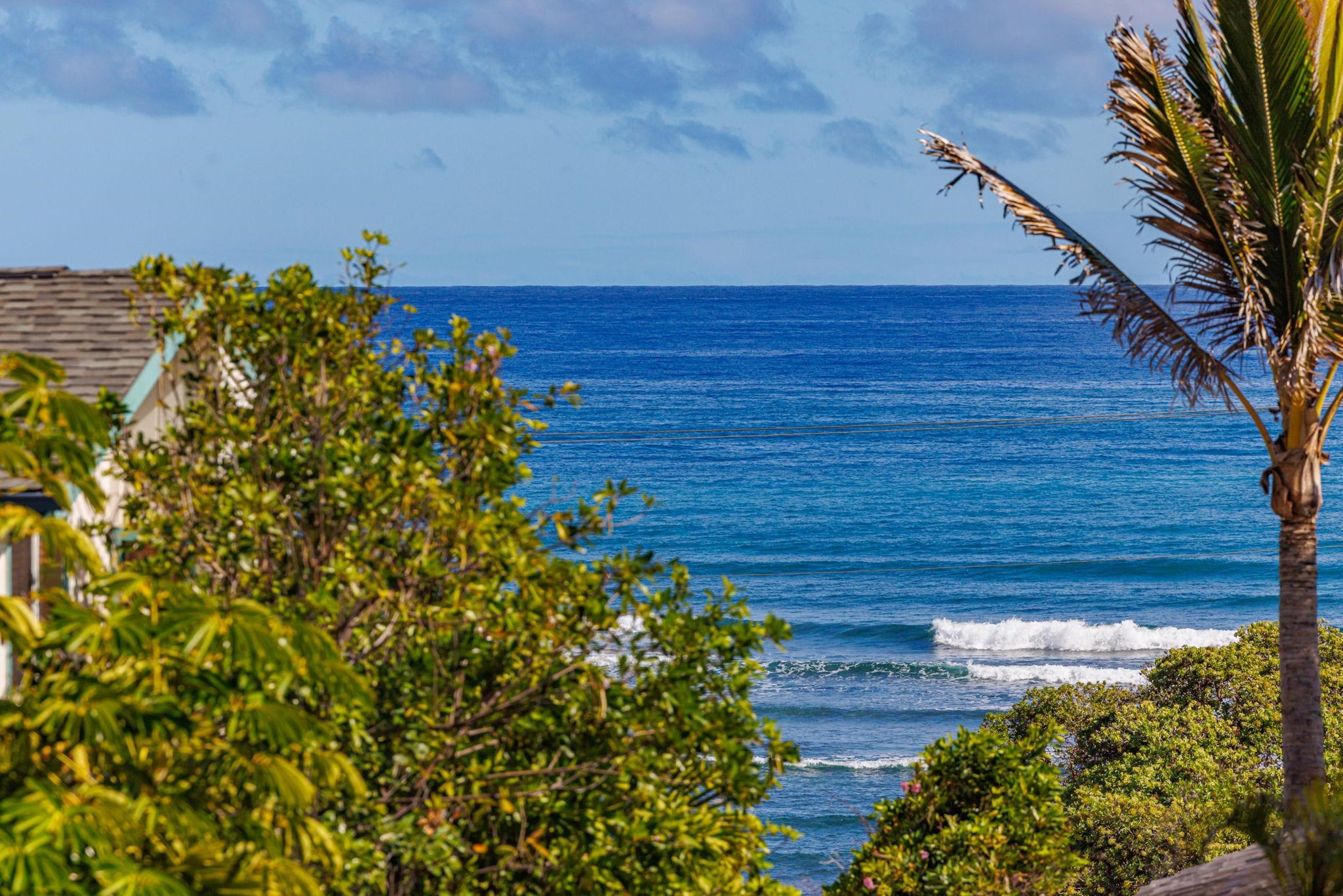 1395  Hiahia St , Wailuku home - photo 23 of 50