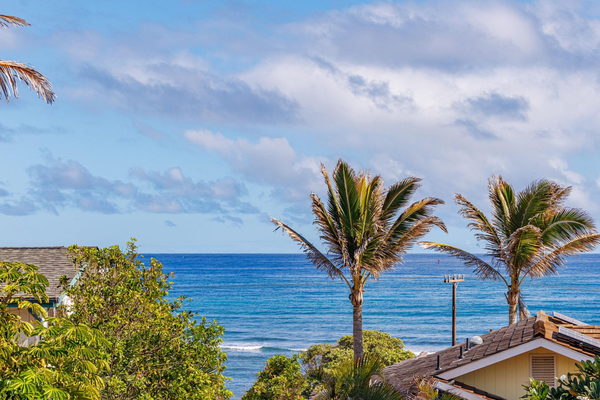1395  Hiahia St , Wailuku home - photo 28 of 50