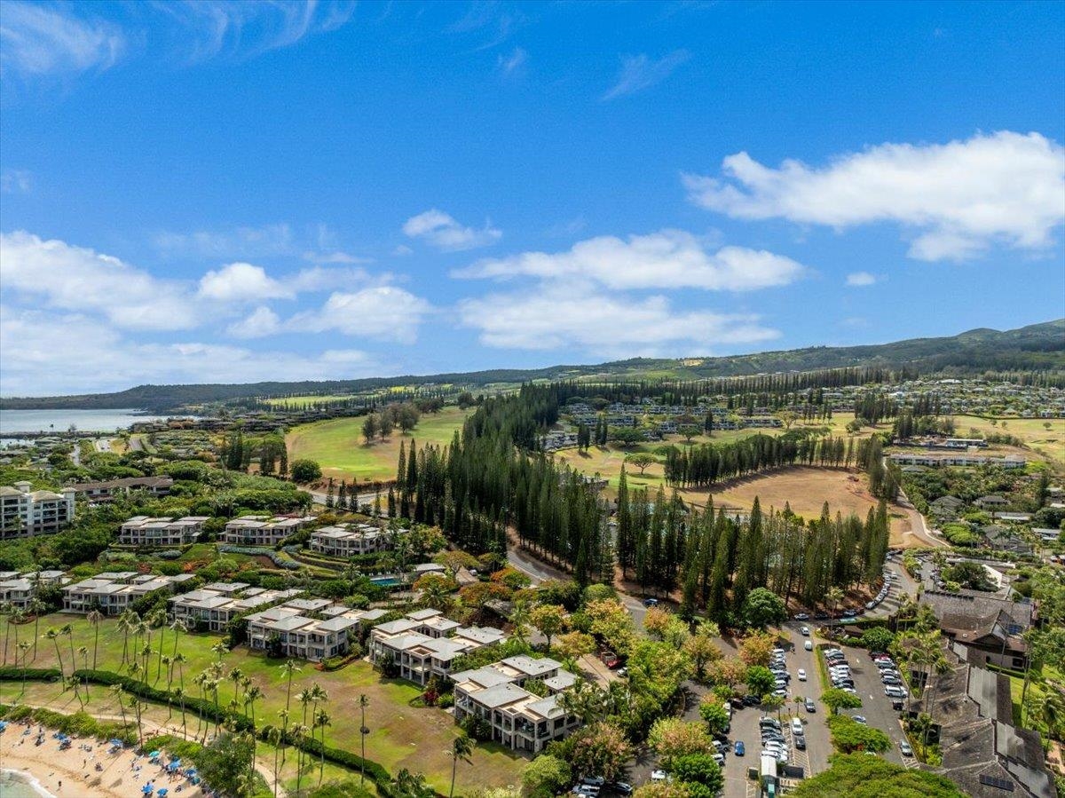 Coconut Grove condo # D14, Lahaina, Hawaii - photo 33 of 40