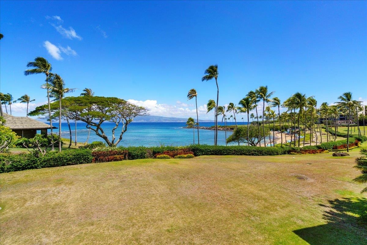 Coconut Grove condo # D14, Lahaina, Hawaii - photo 37 of 40