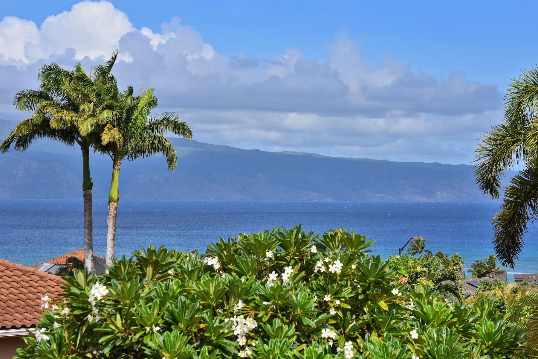 14  Fern Pl Kahana Ridge, Napili/Kahana/Honokowai home - photo 26 of 48