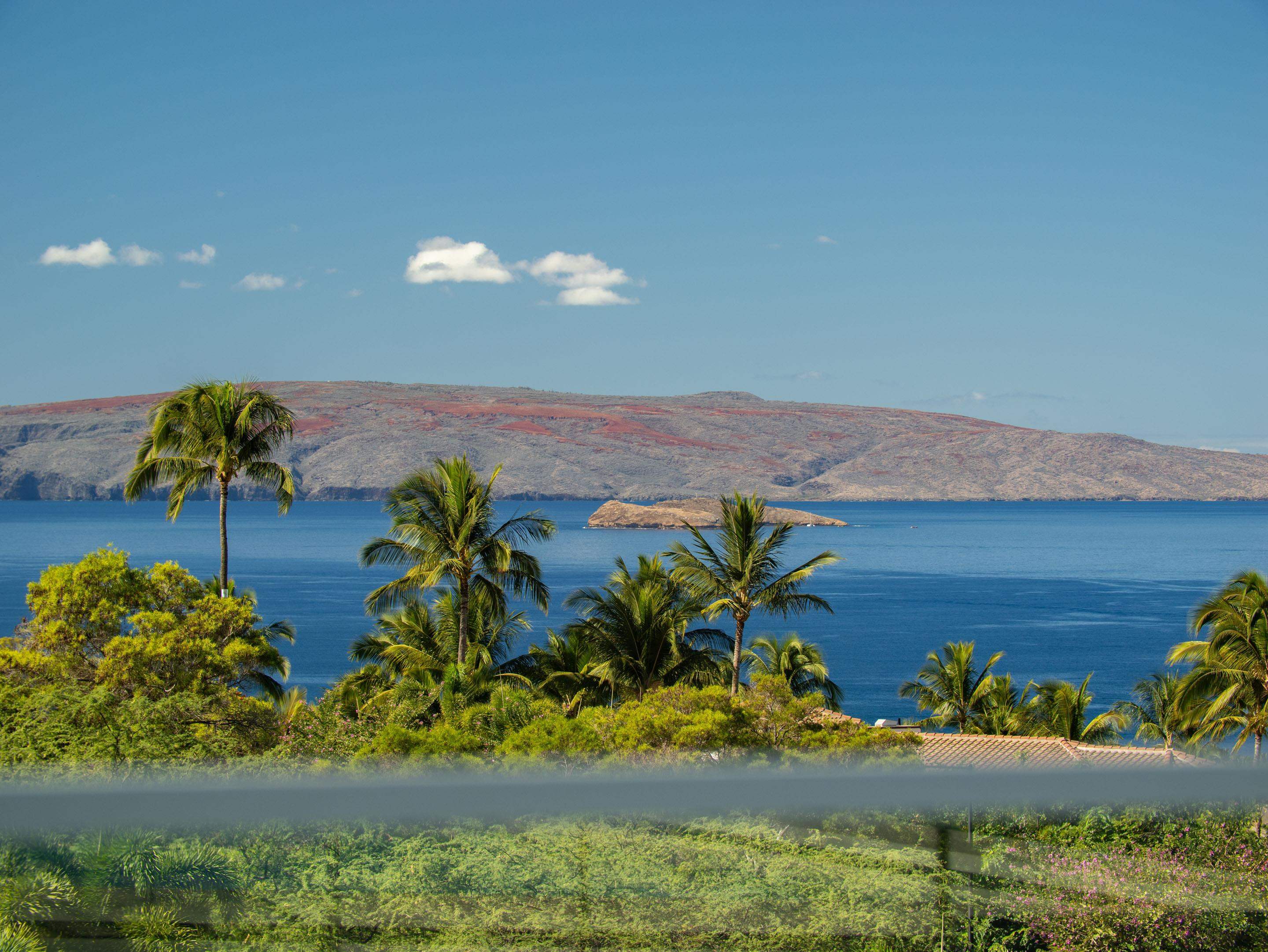 14  Halapa Pl , Wailea/Makena home - photo 20 of 50