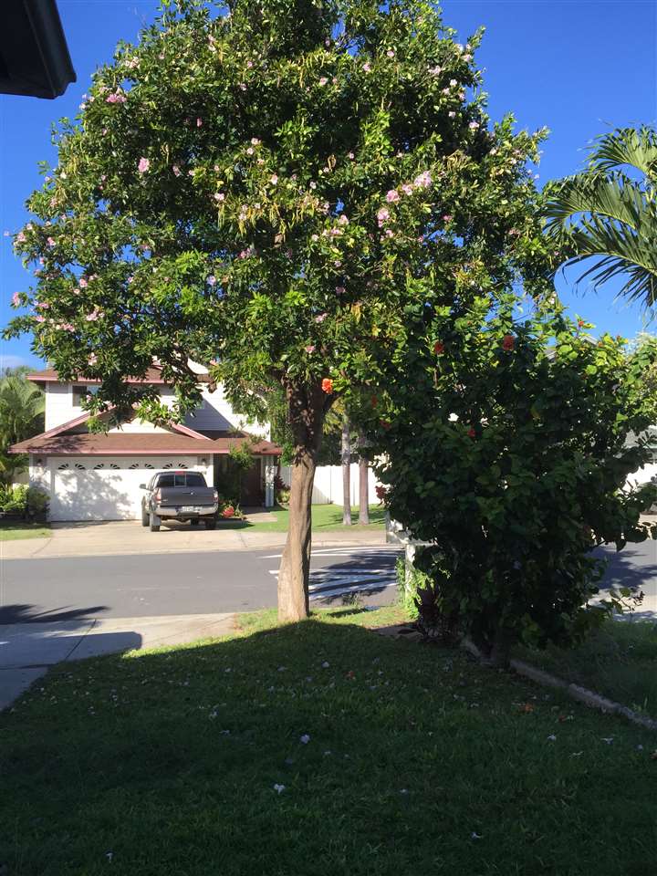 14  Hoowehi Pl , Kahului home - photo 26 of 27