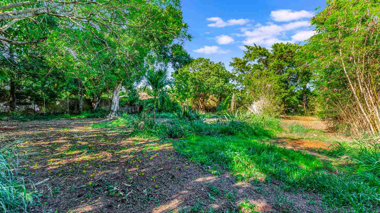 14 Kulani Pl  Paia, Hi vacant land for sale - photo 3 of 9
