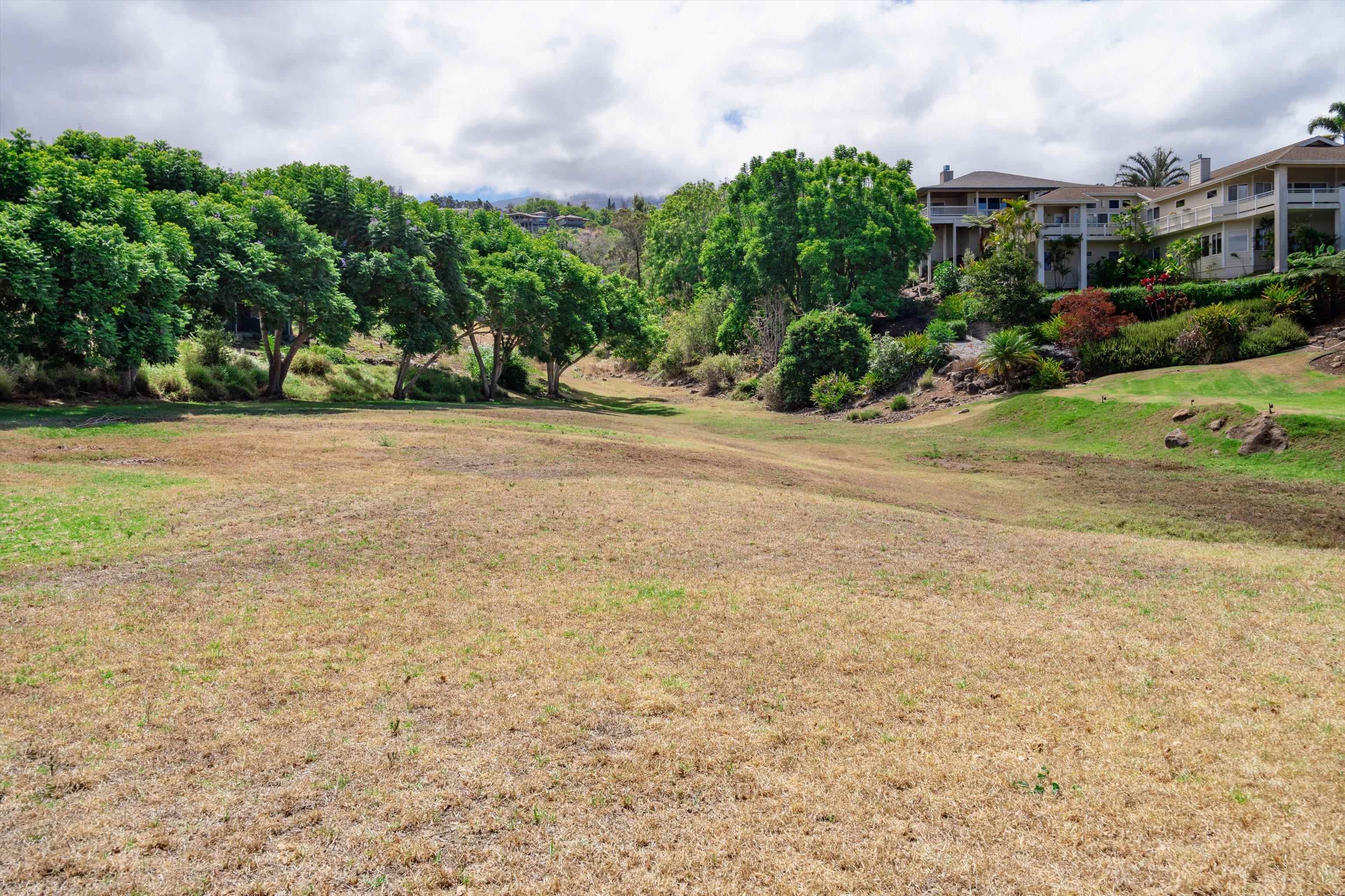 14 Nunu Pl  Kula, Hi vacant land for sale - photo 21 of 23