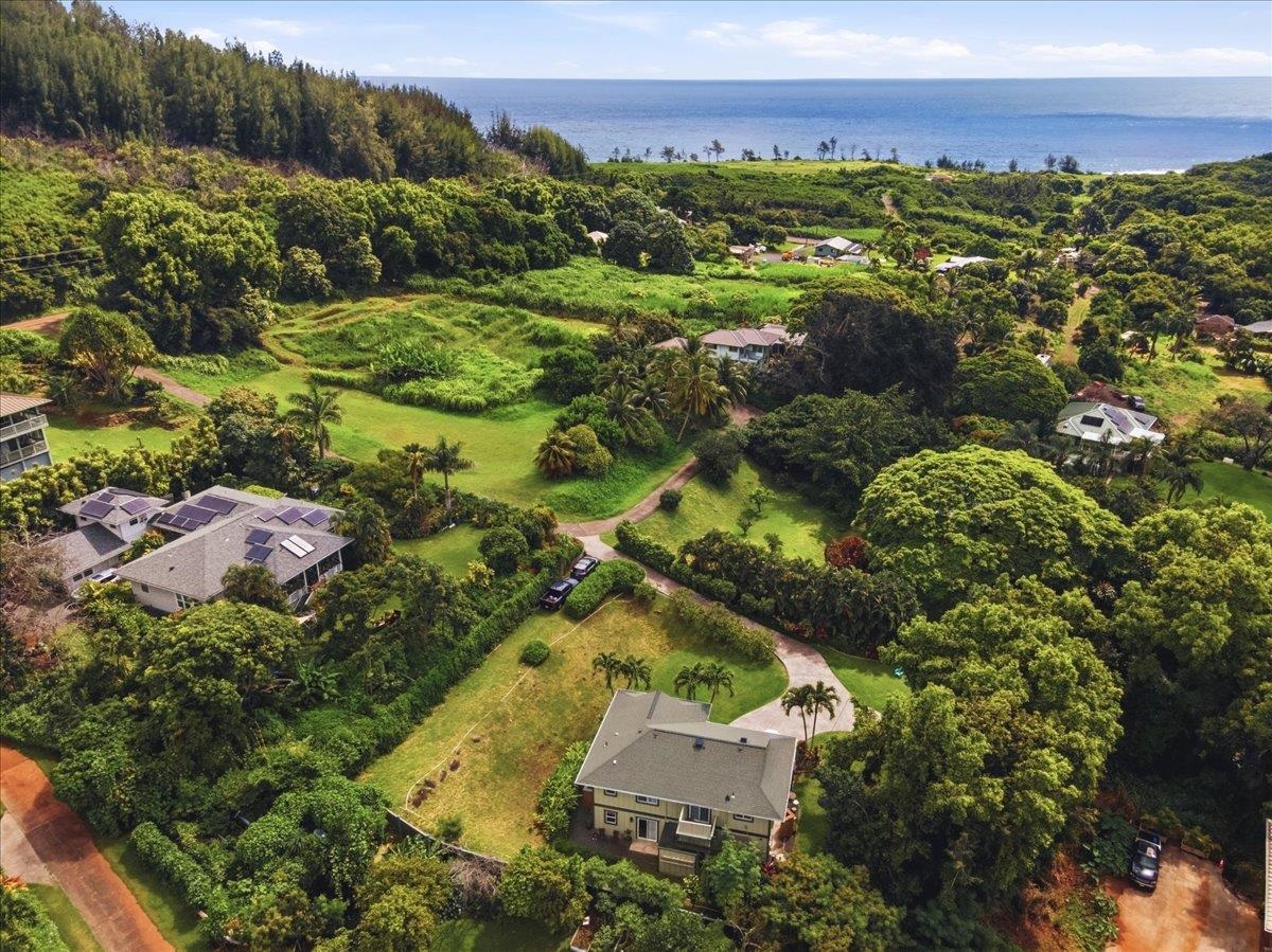 140  River Rd Waihee, Wailuku home - photo 3 of 45