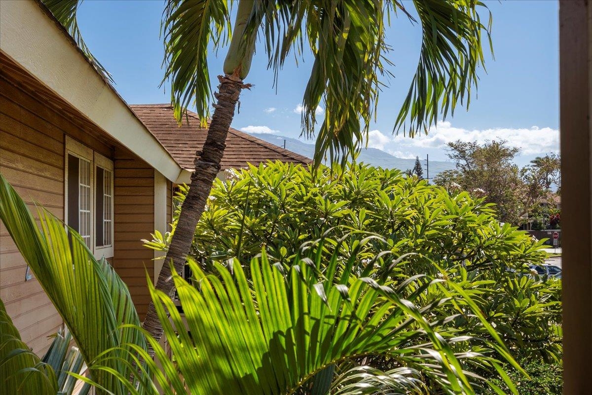 Kihei Villages I condo # 2-203, Kihei, Hawaii - photo 31 of 50