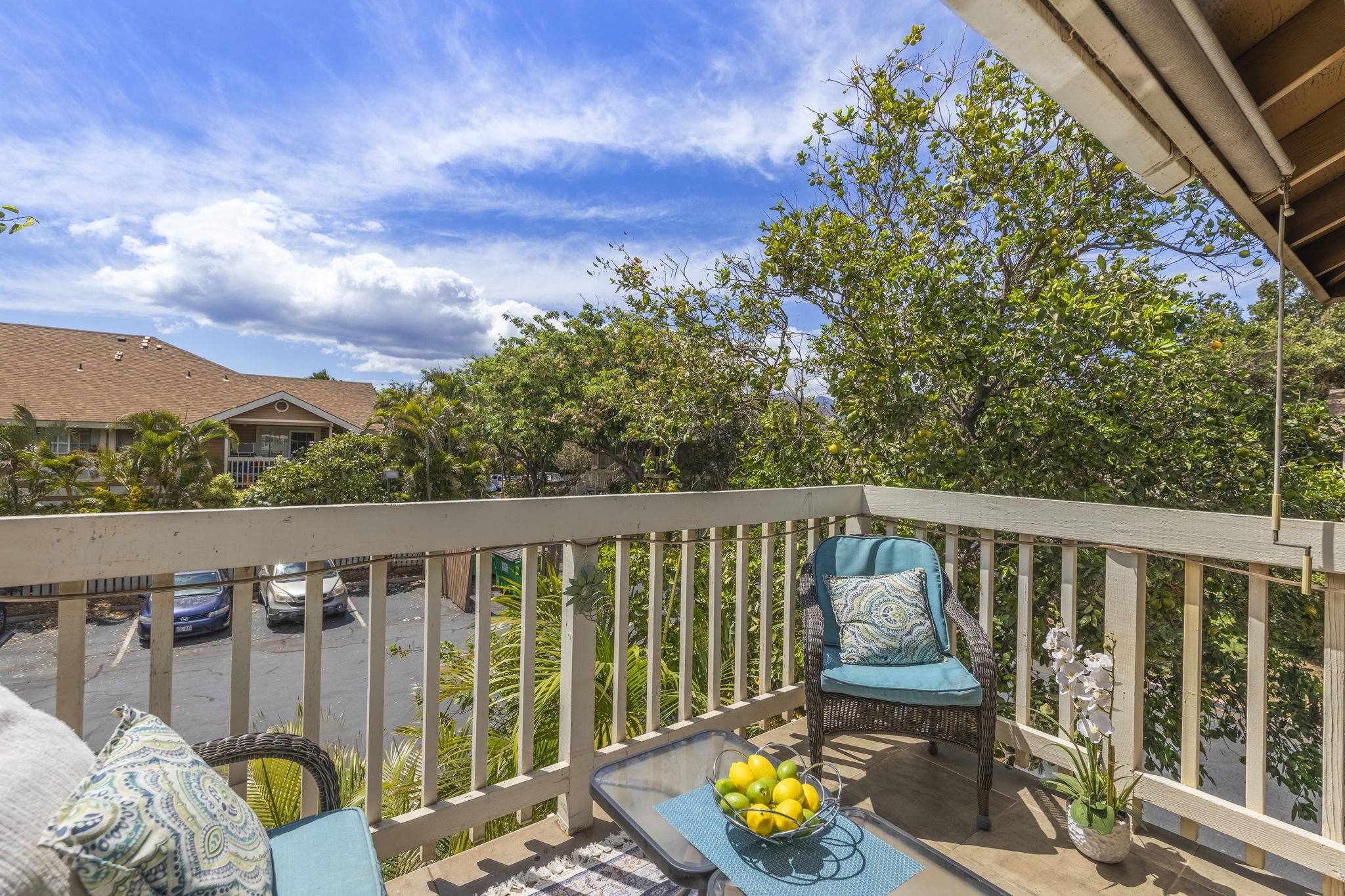 Kihei Villages IV condo # 25-202, Kihei, Hawaii - photo 14 of 50