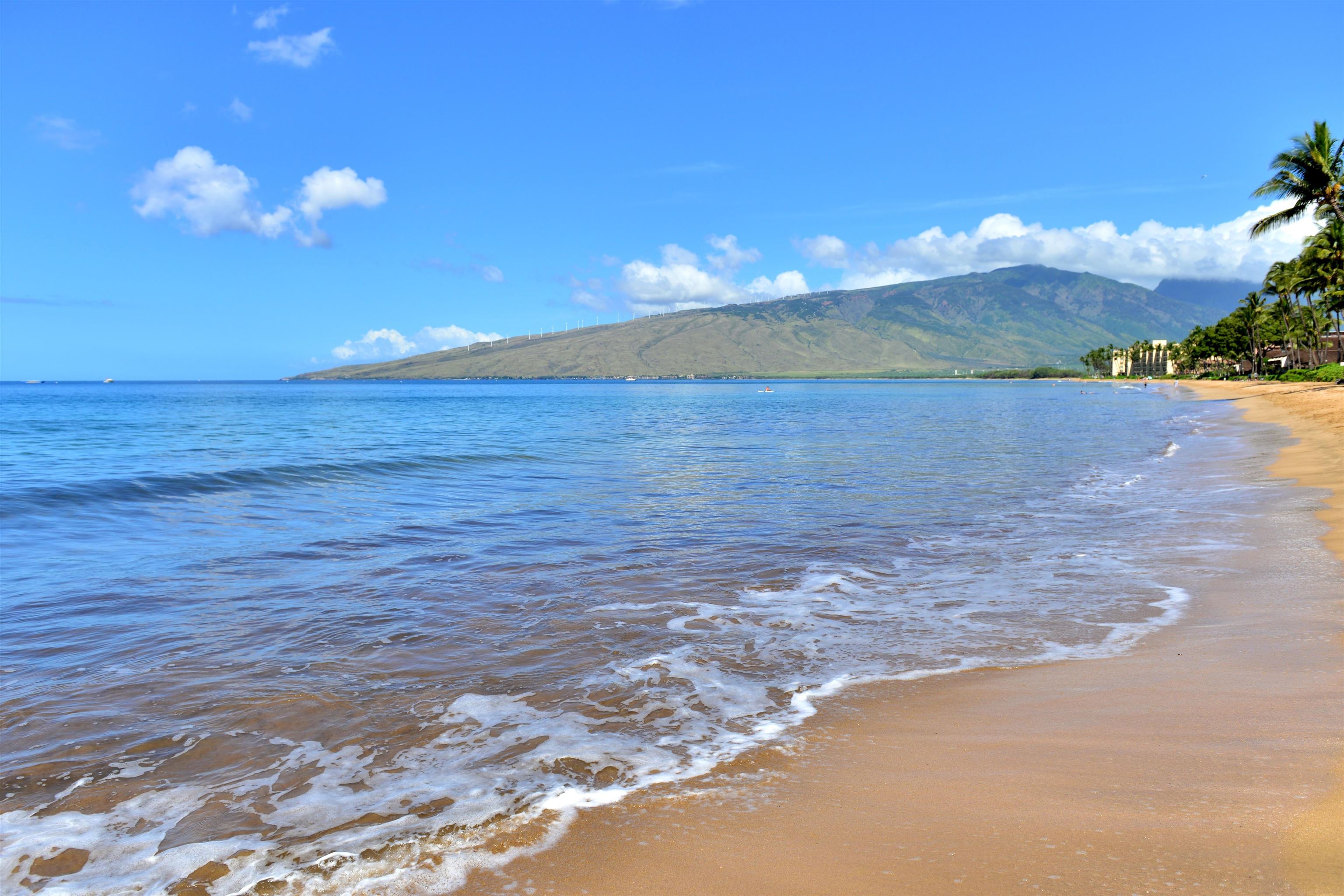 Kihei Villages IV condo # 25-202, Kihei, Hawaii - photo 42 of 50