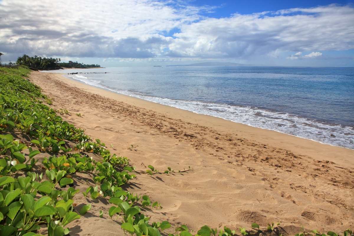 Kihei Villages V condo # 35-106, Kihei, Hawaii - photo 30 of 30