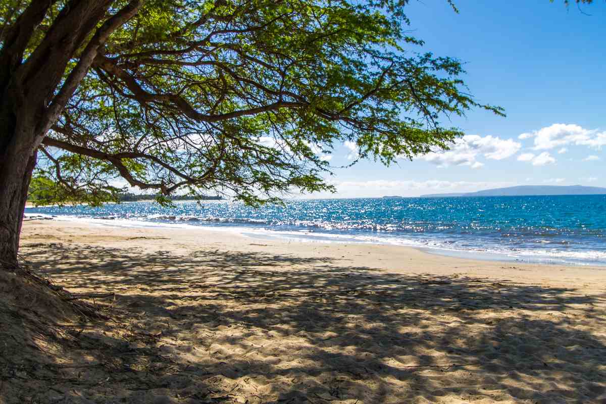 Kihei Villages V condo # 37-201, Kihei, Hawaii - photo 25 of 30