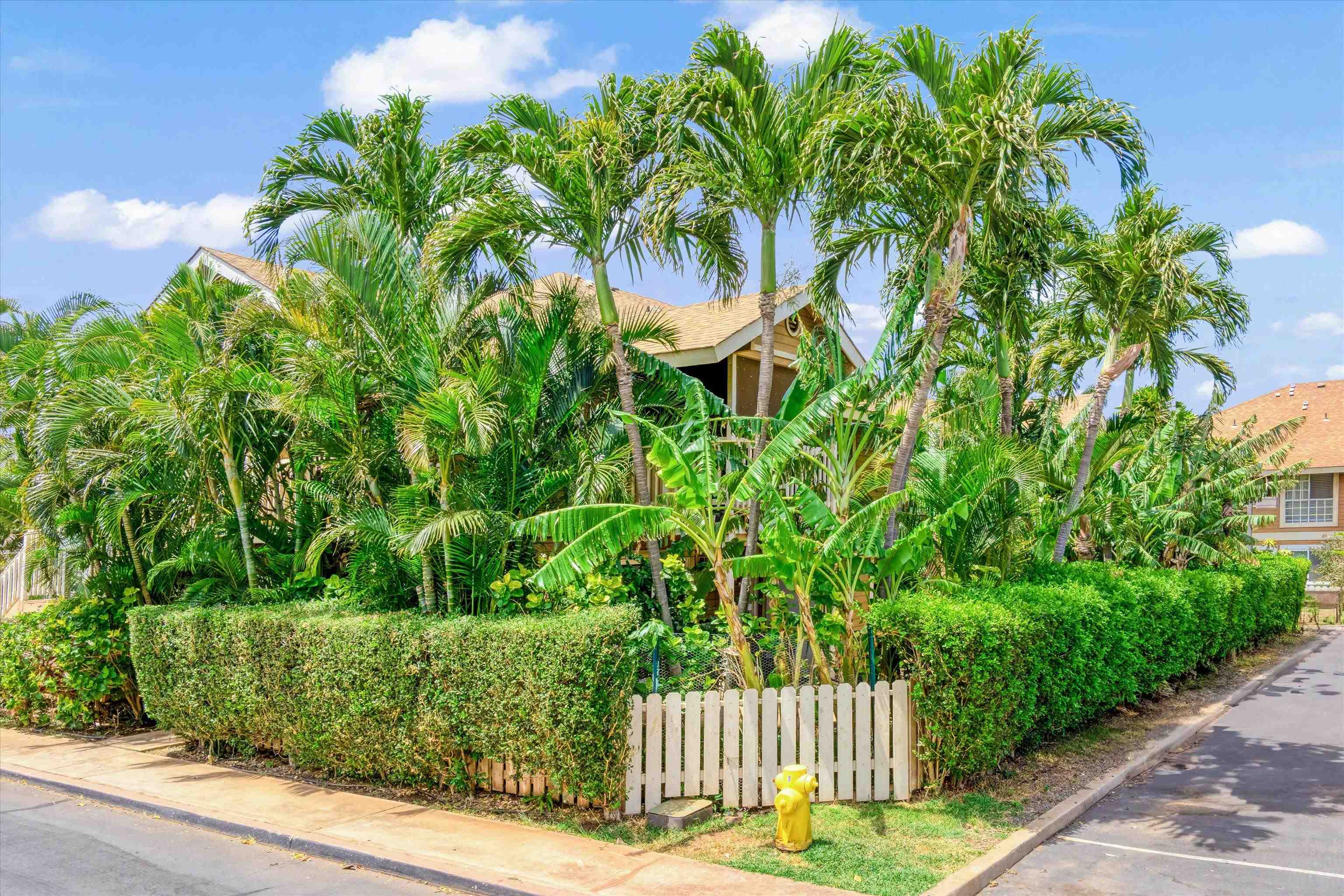 Kihei Villages V condo # 39-102, Kihei, Hawaii - photo 31 of 40