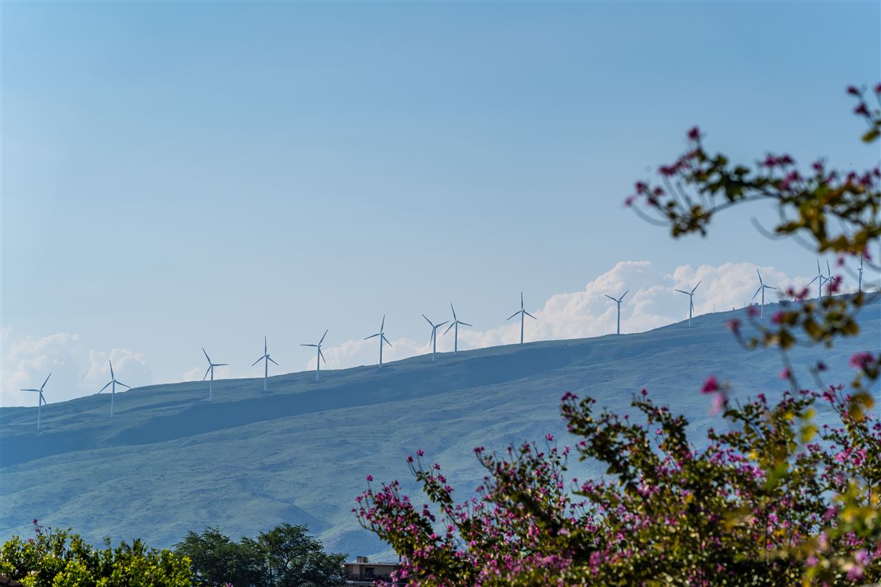 Kihei Villages IV condo # 4-203, Kihei, Hawaii - photo 7 of 30