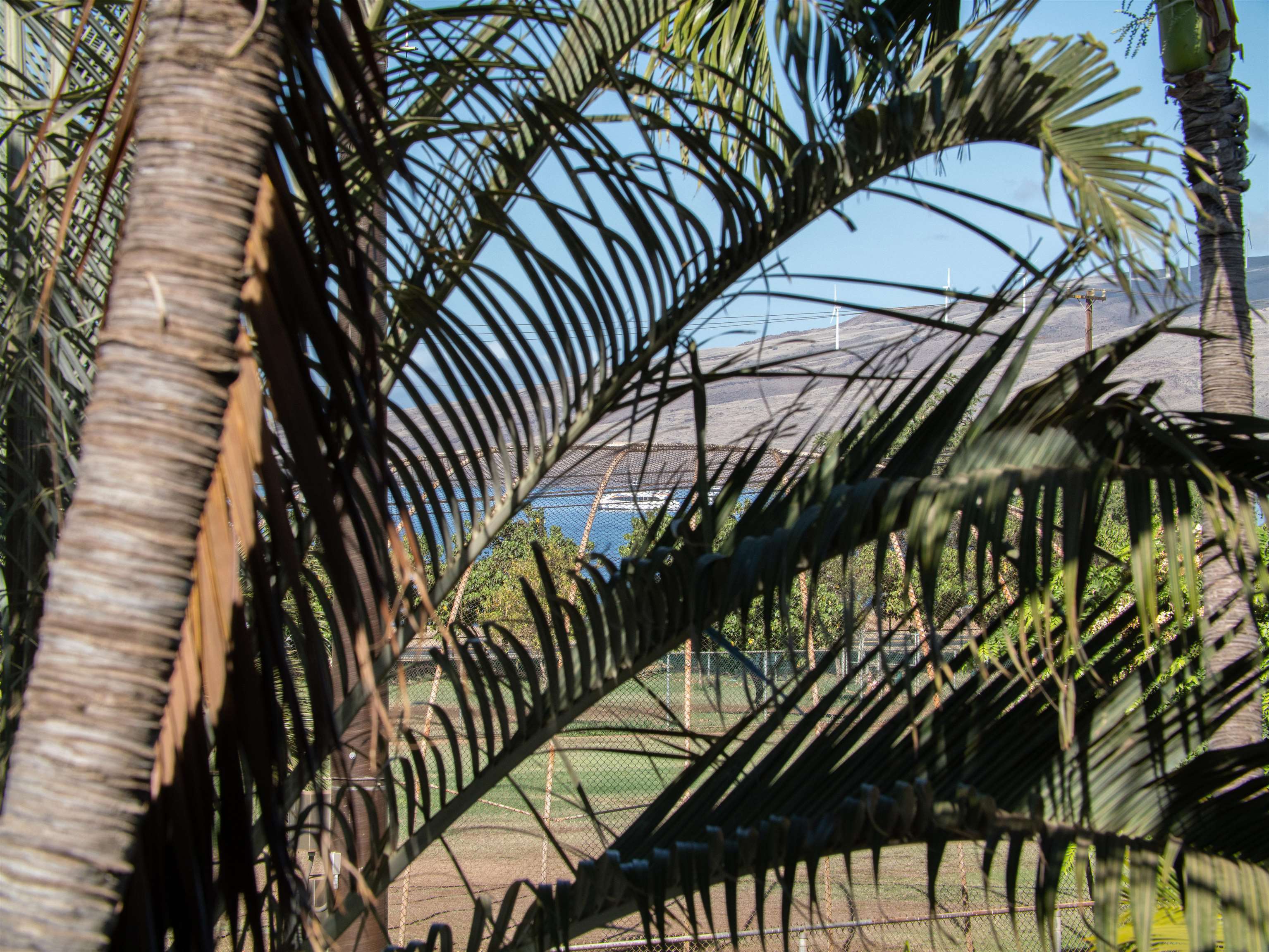 Kihei Villages VI condo # 43-204, Kihei, Hawaii - photo 5 of 21