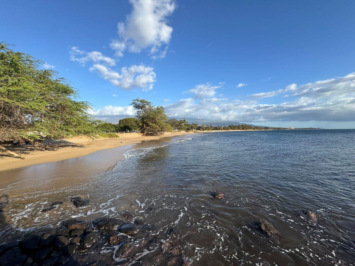 Kihei Villages II condo # 56-204, Kihei, Hawaii - photo 38 of 40